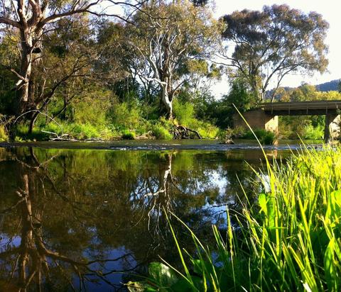 Bracks Bridge