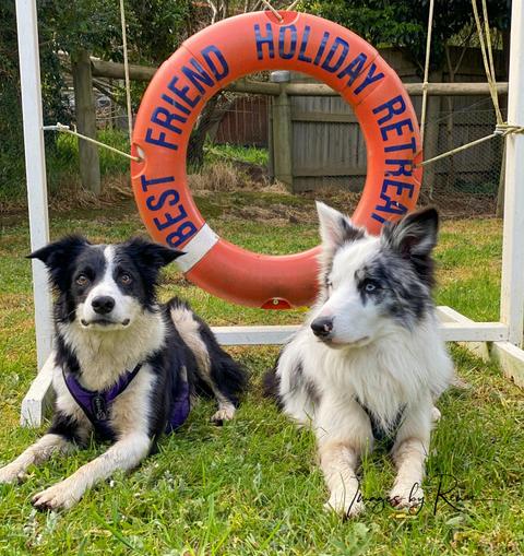 Best Friend Holiday Retreat