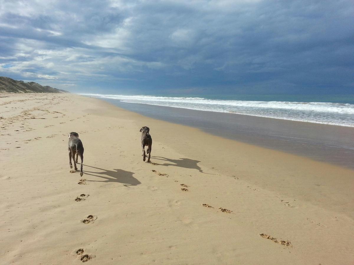 Woodside Beach
