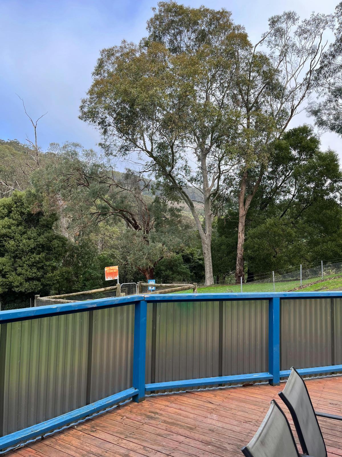 Huckleberry Hound's Hideaway