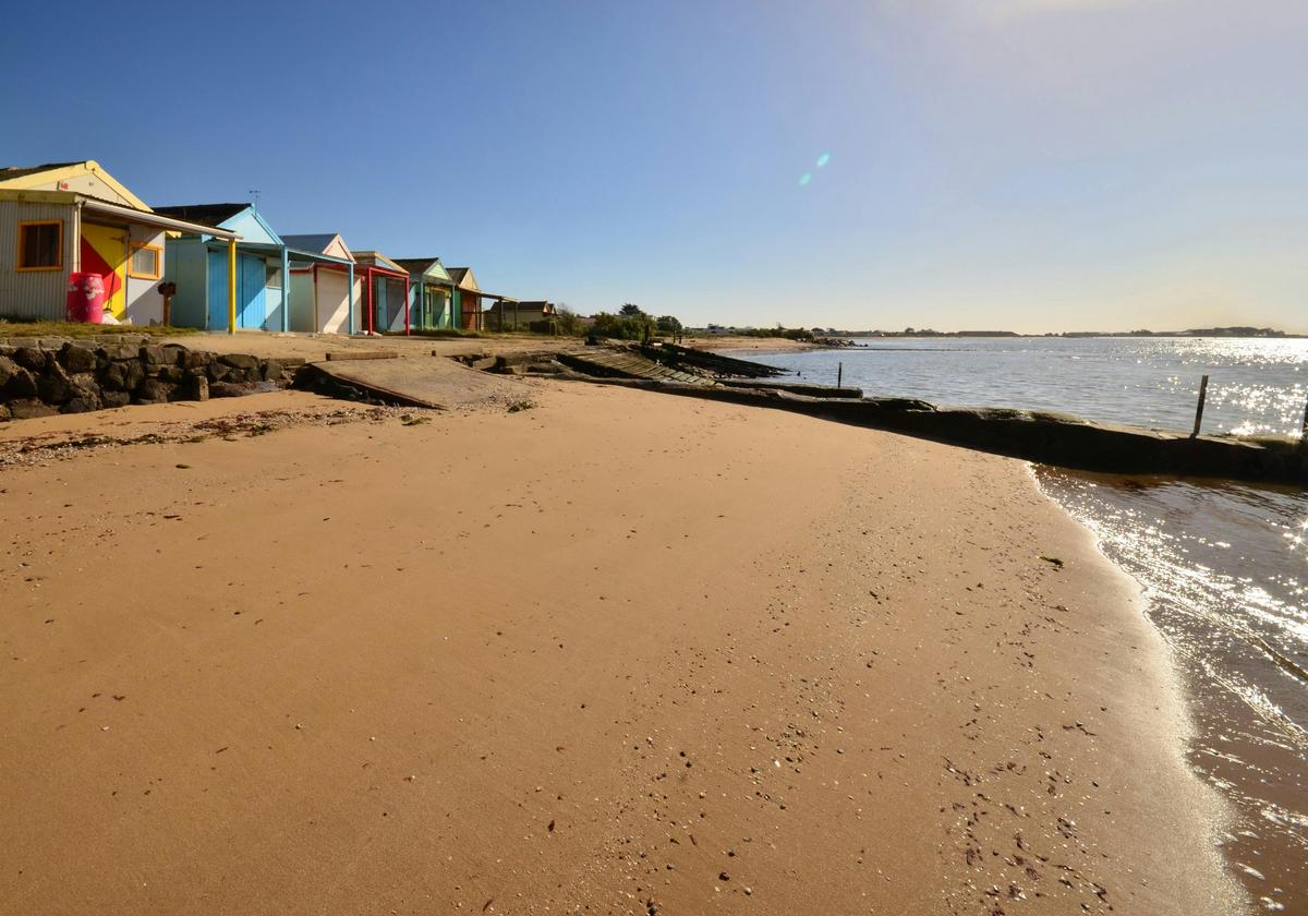 Campbells Cove Boathouses