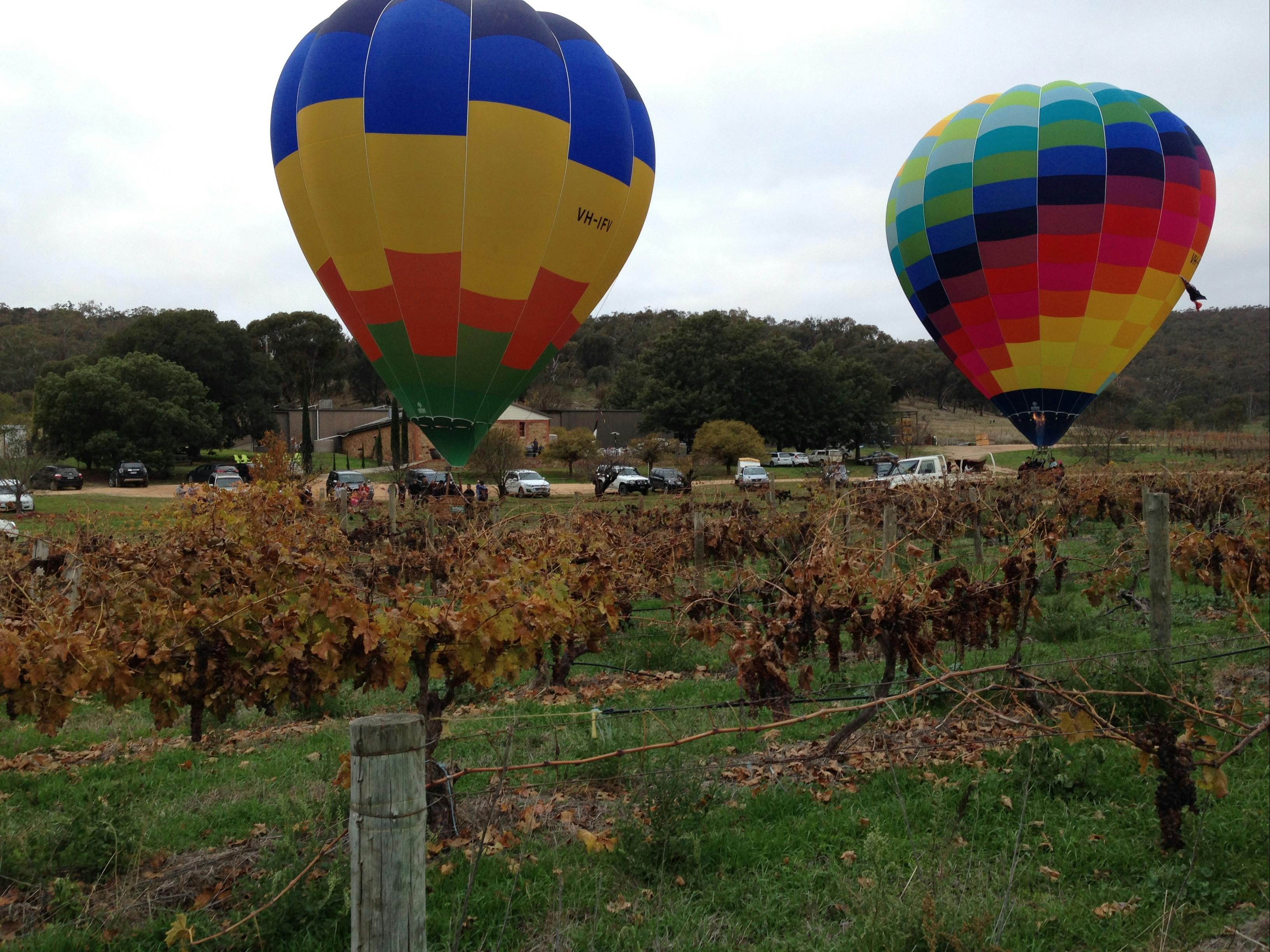 Air balloons at Taminick Cellars