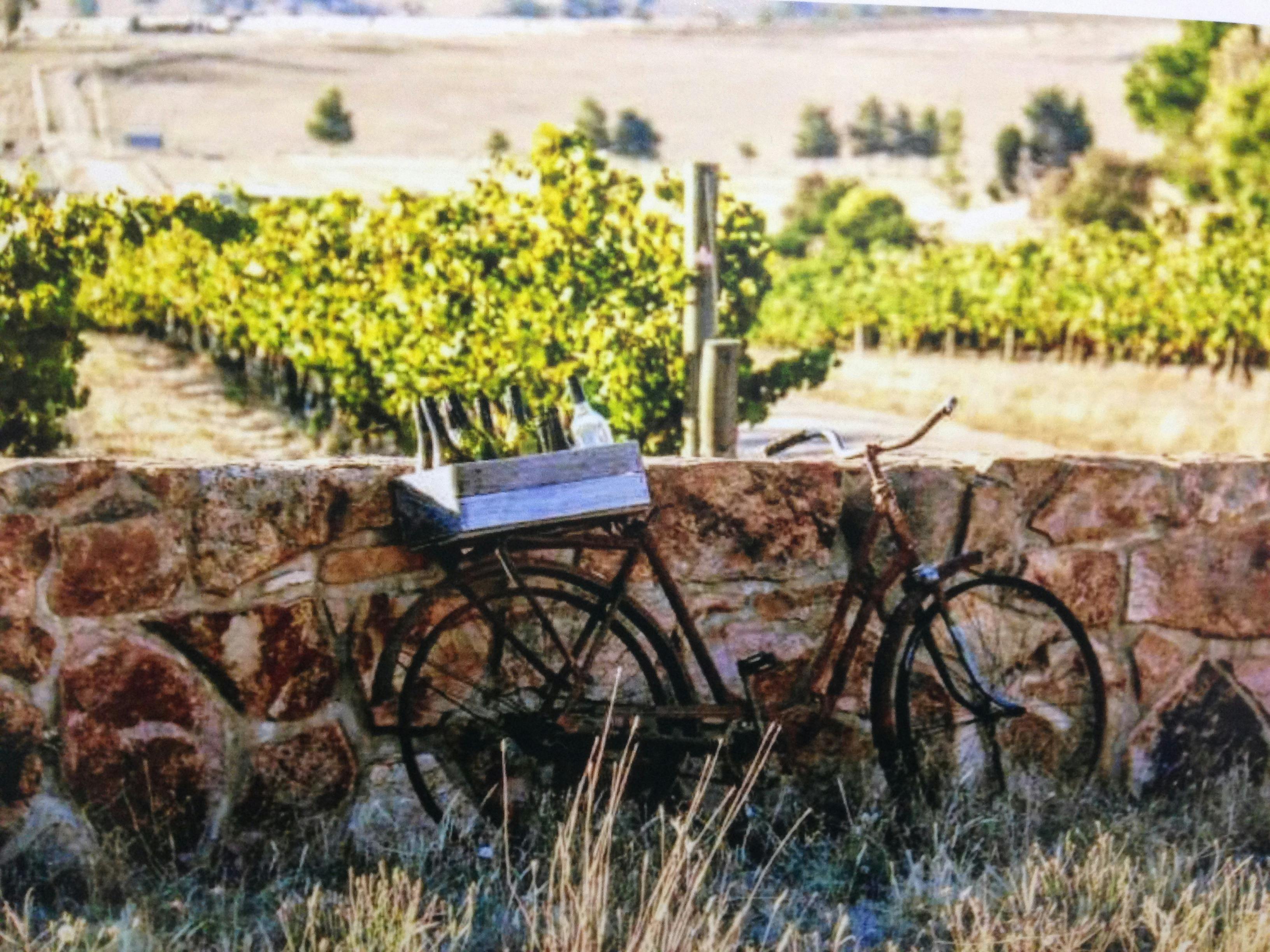 Entrance to Taminick Cellars