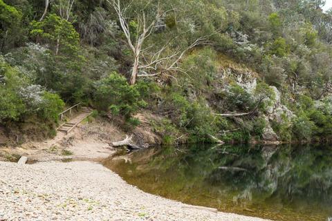Briagolong State Forest