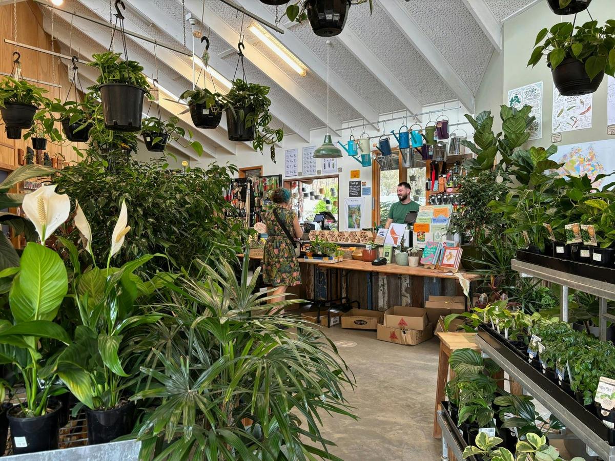 Alongside a lush range of indoor plants, you’ll find beautiful handmade goods from local makers.