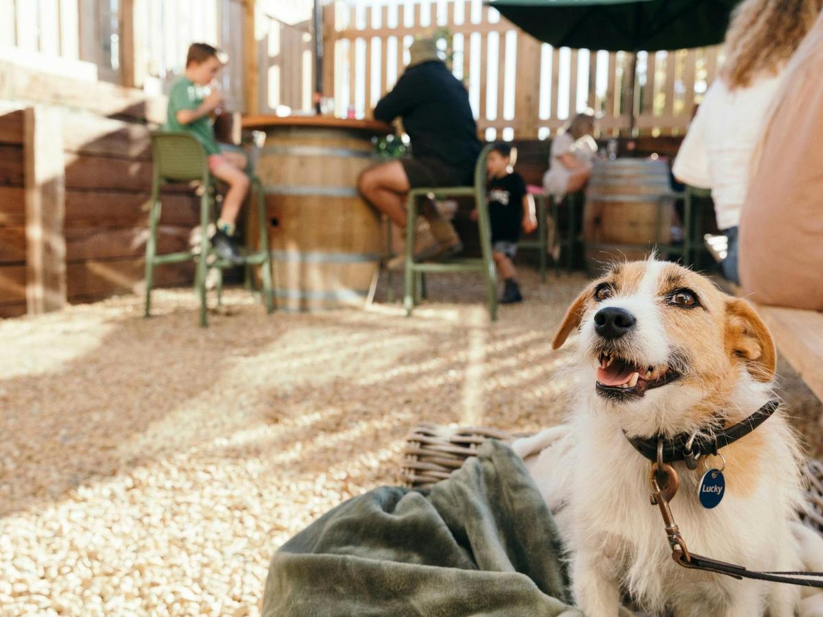 Beer Garden