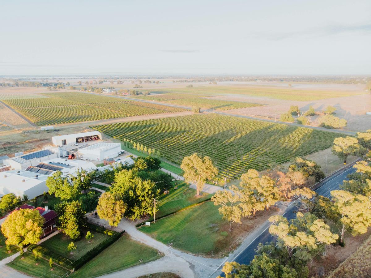 Campbells Wines of Rutherglen