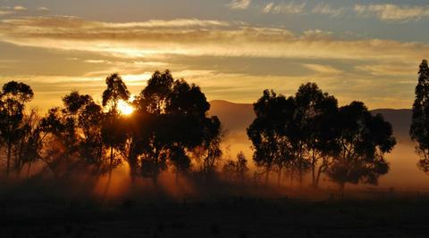 Views from the Yering Suite