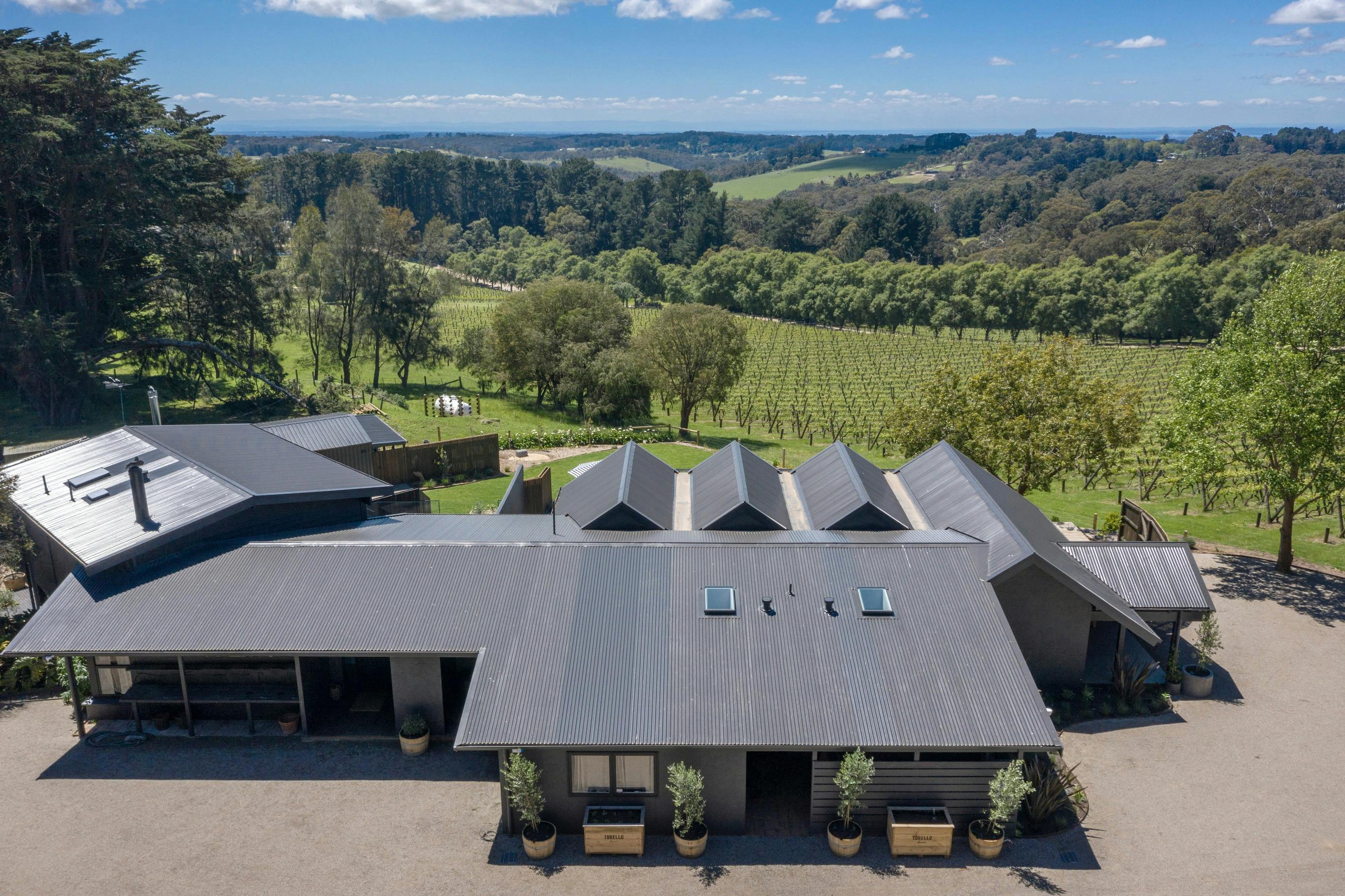 An aerial view showcasing the expansive vineyard views.