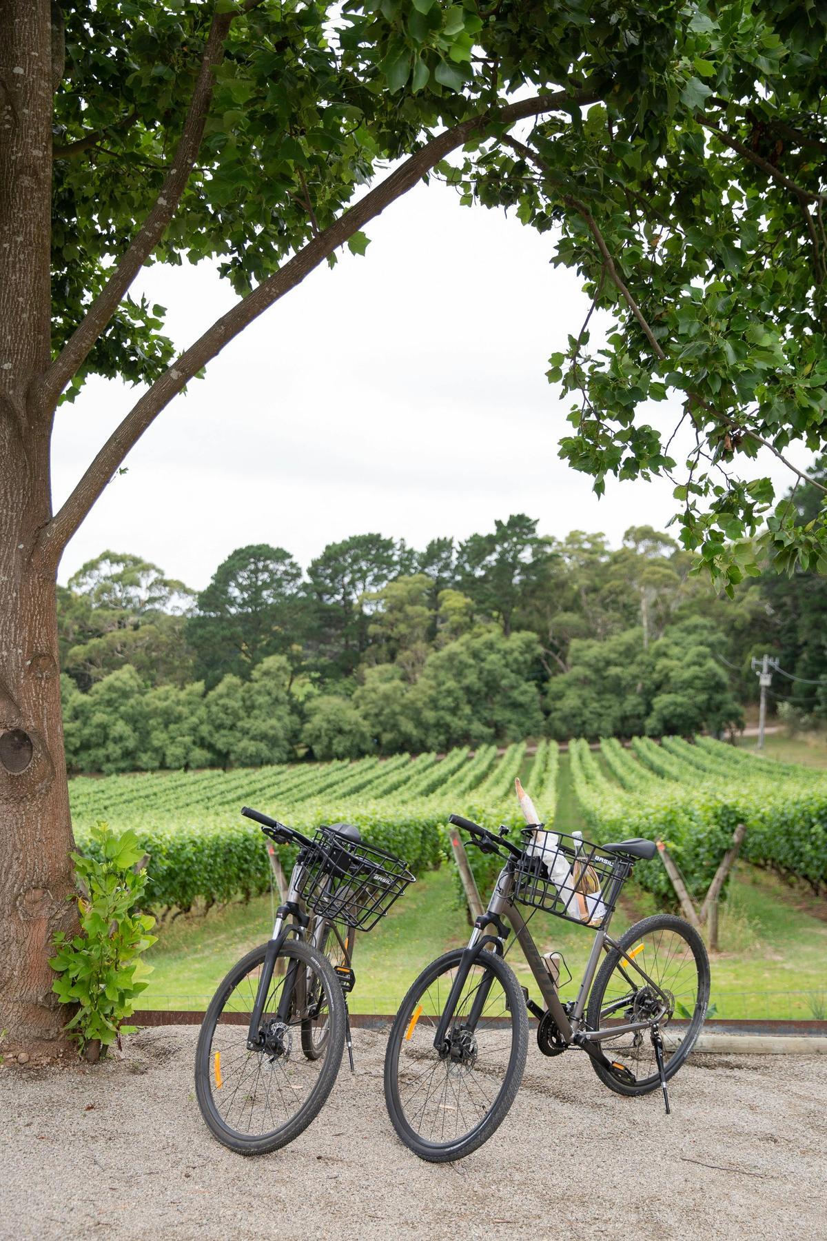 In-house bicycles to explore the coastal wine country along the bike trails.
