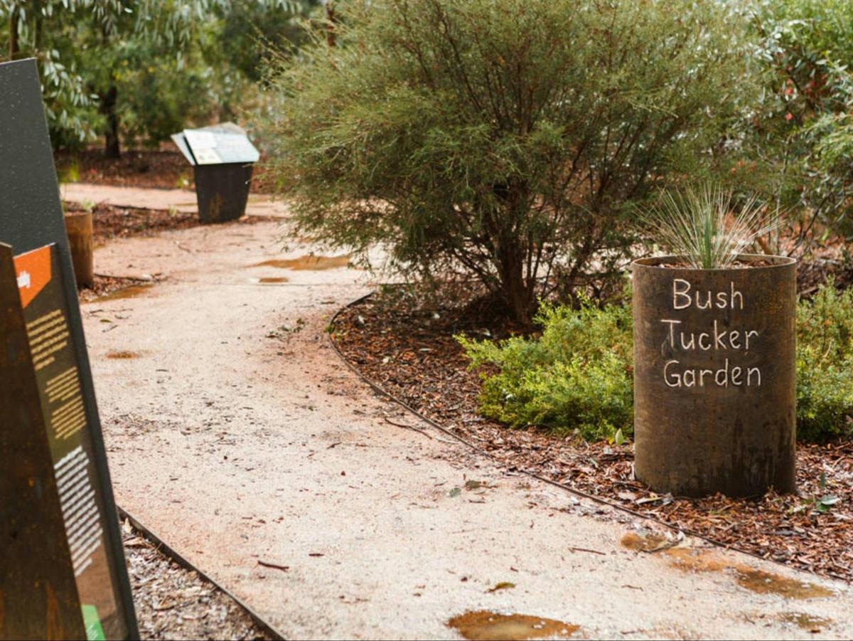 Bush Tucker Garden