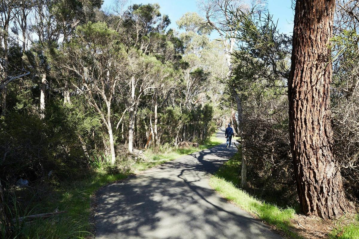 Bittern Trail - Cycling (part of the Western Port Bay Trail)