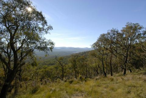 Bunyip State Park