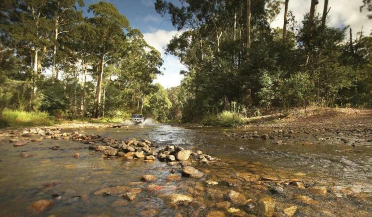 Bunyip State Park