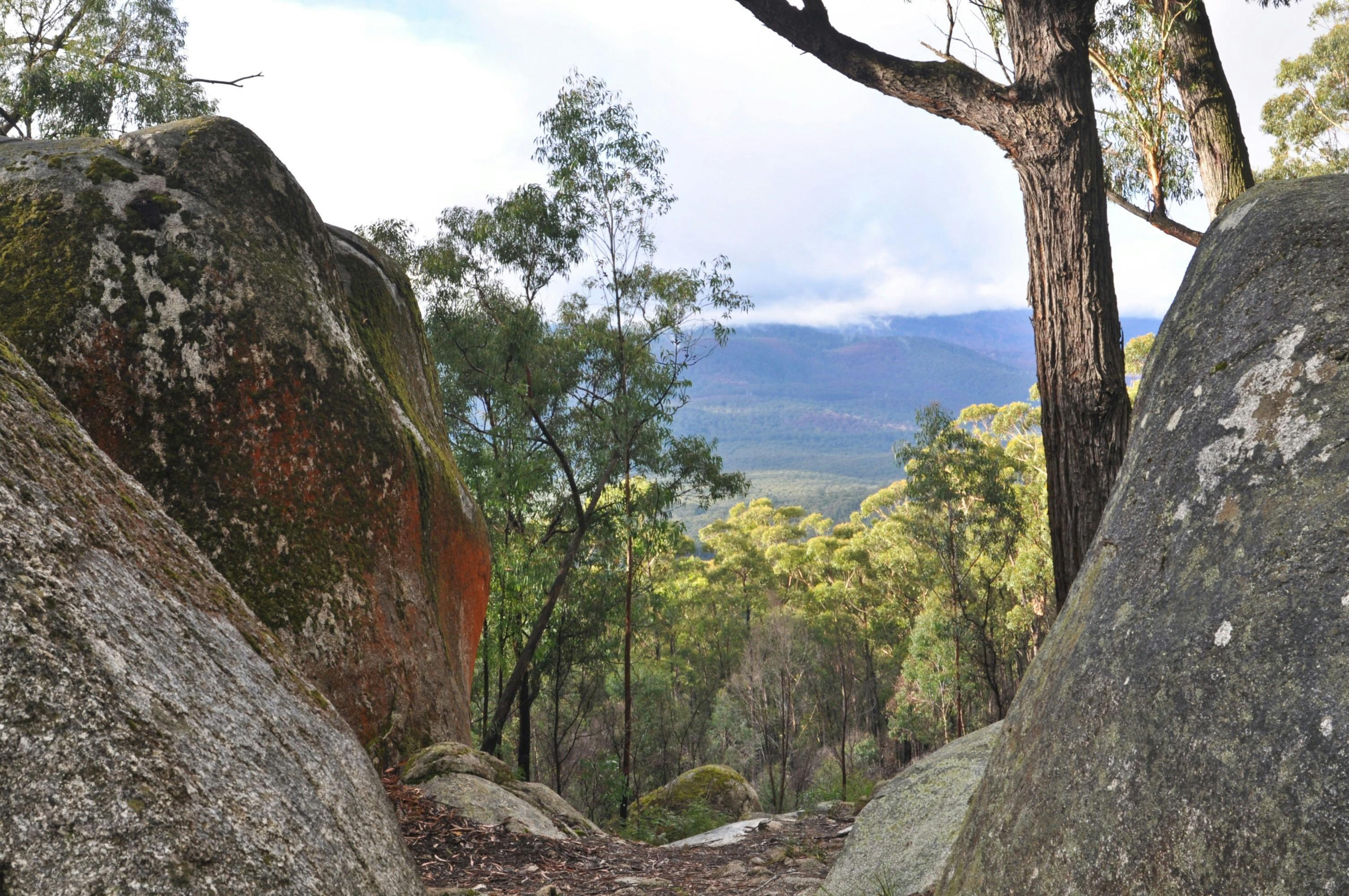 Four Brothers Rocks Bunyip