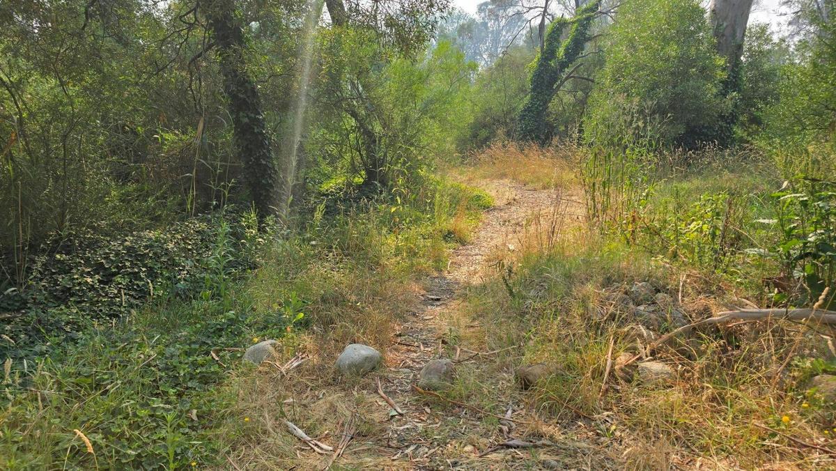 Walking trail to fishing spot at Cheshunt Reserve