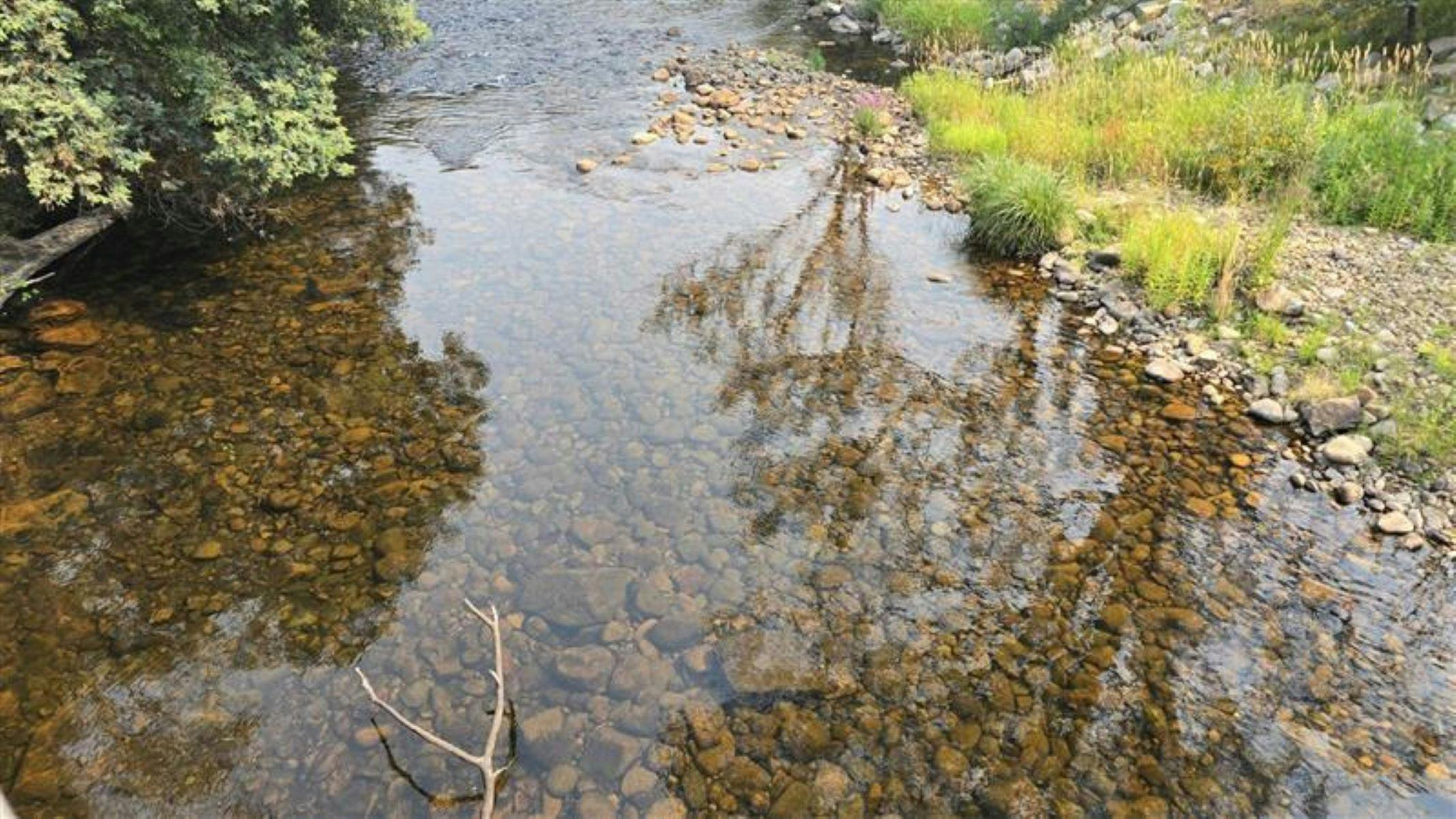 King River at Cheshunt