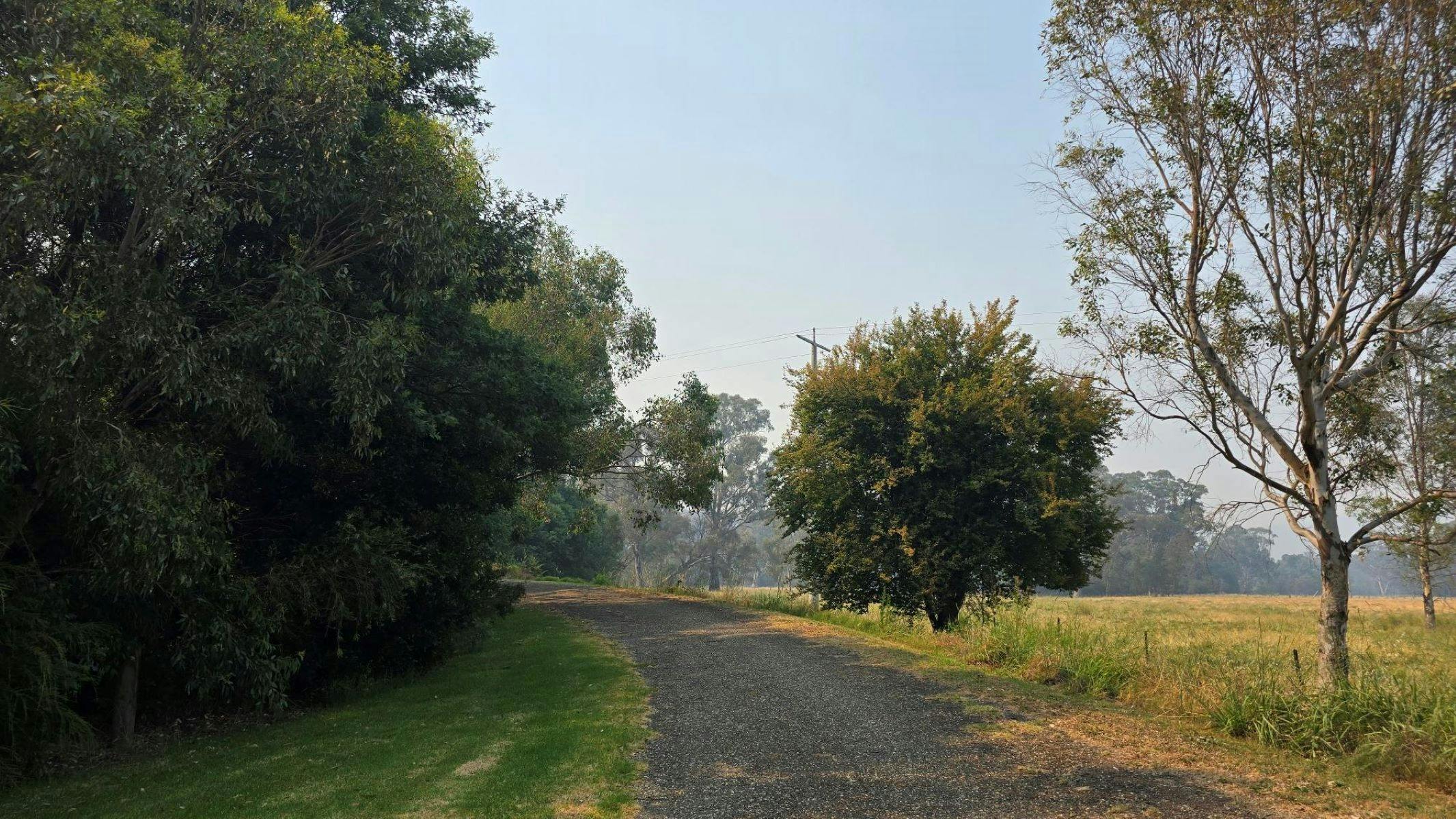 Walking trail through Cheshunt Reserve
