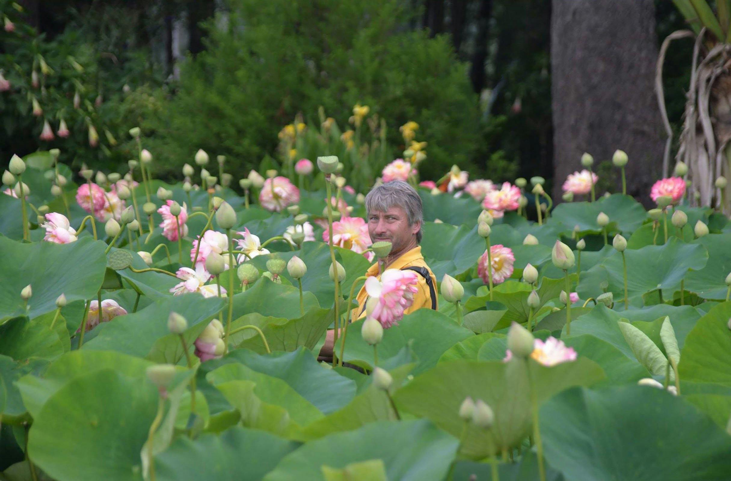 Lotus flower worker, Lyn Dwyer
