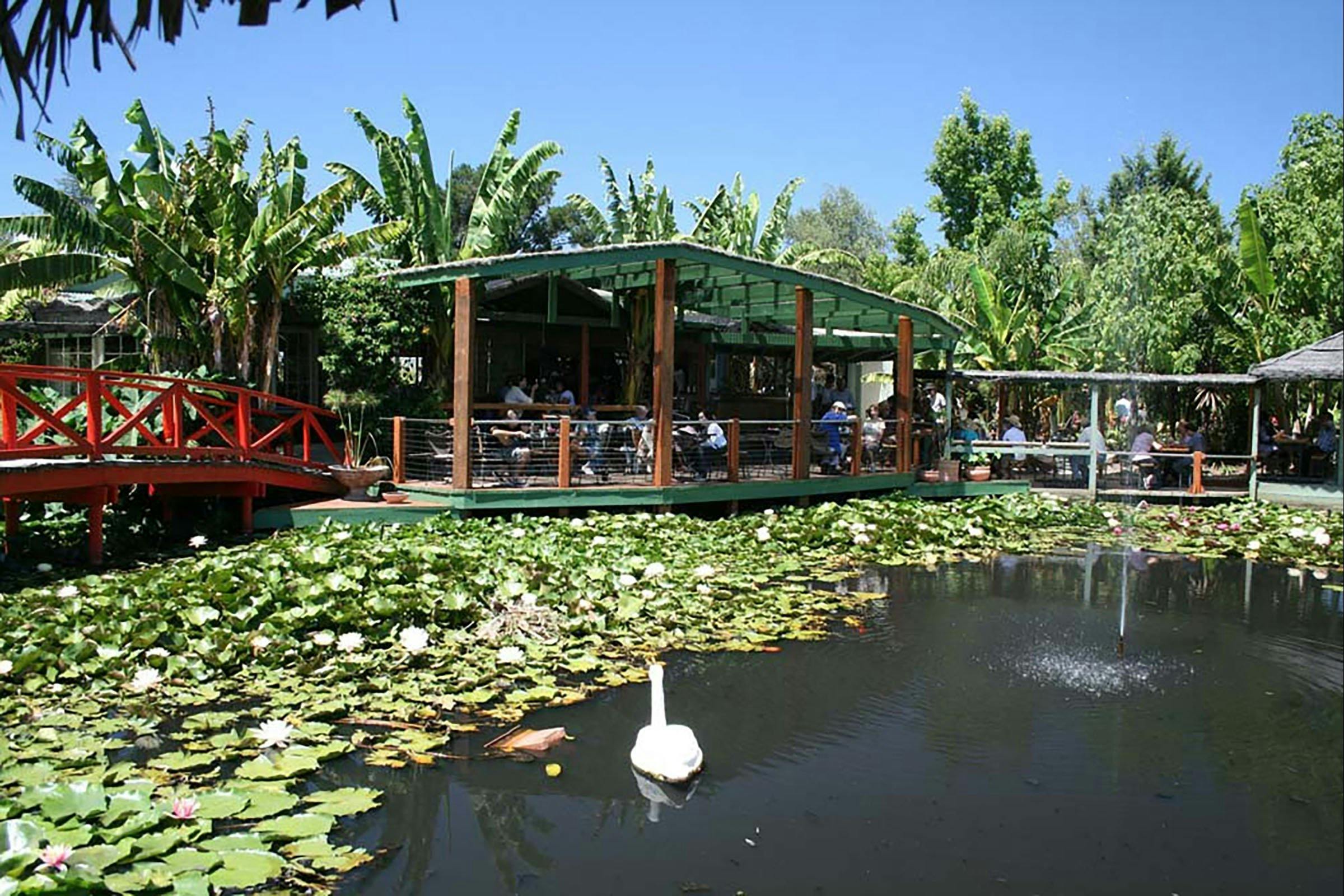 Blue Lotus Water Garden, Peter Cochrane