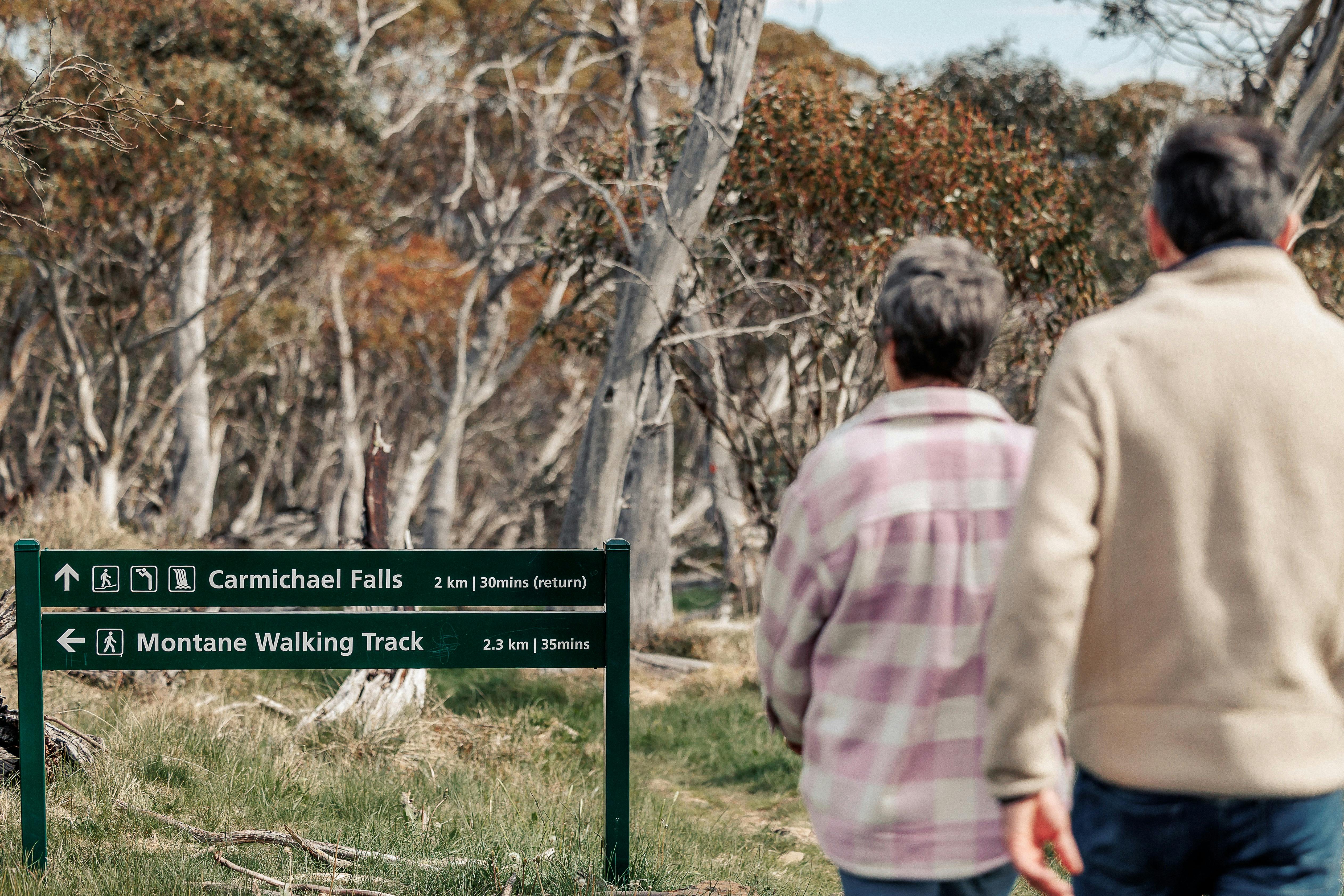 Carmichael Falls walk