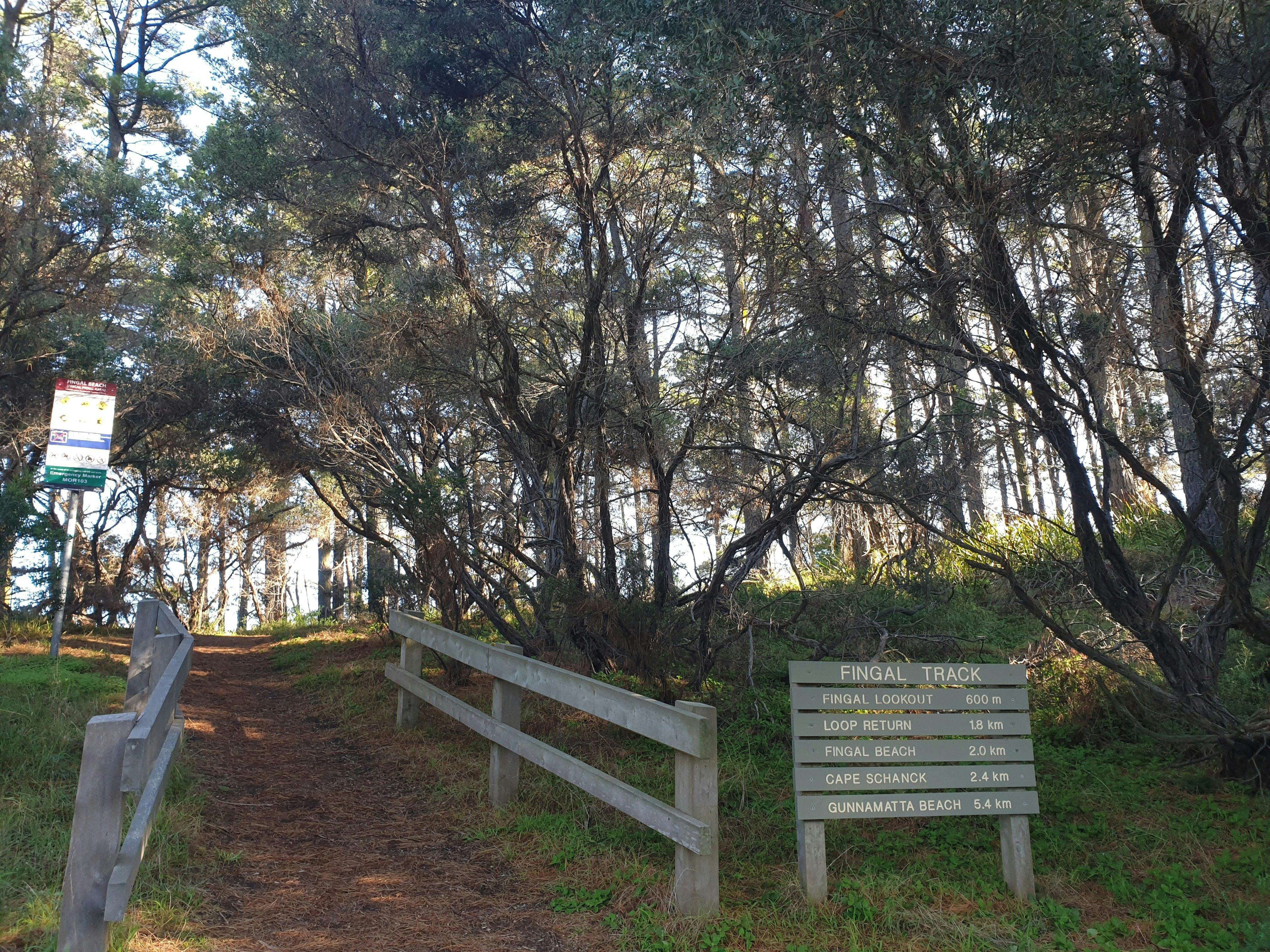 Fingal Car Park: Cape Schanck to Gunnamatta Surf Beach (part of The Coastal Walk)