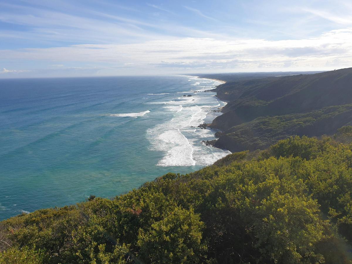Looking towards Gunnamatta: Cape Schanck to Gunnamatta Surf Beach (part of The Coastal Walk)