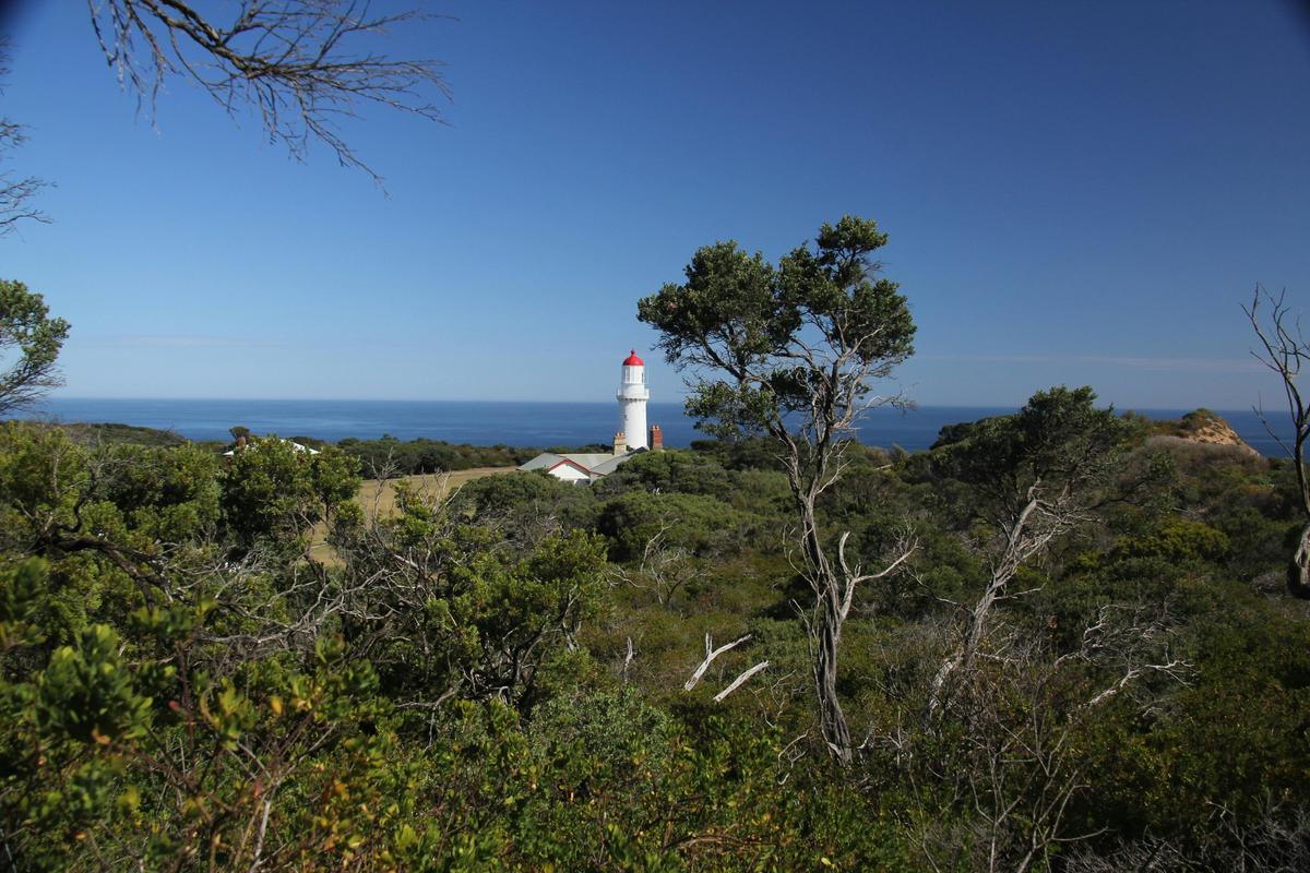 LIghthouse: Cape Schanck to Gunnamatta Surf Beach (part of The Coastal Walk)