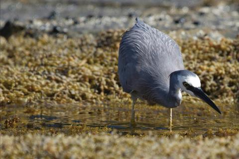 Bunurong Marine and Coastal Park