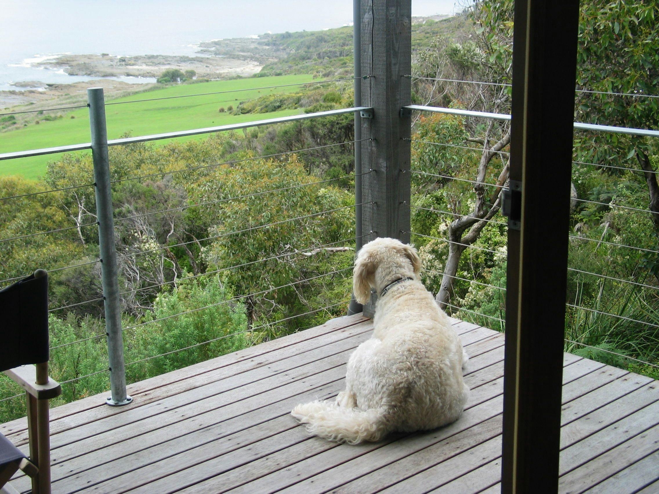 All cottages have direct access to dog-friendly beaches. No roads to cross