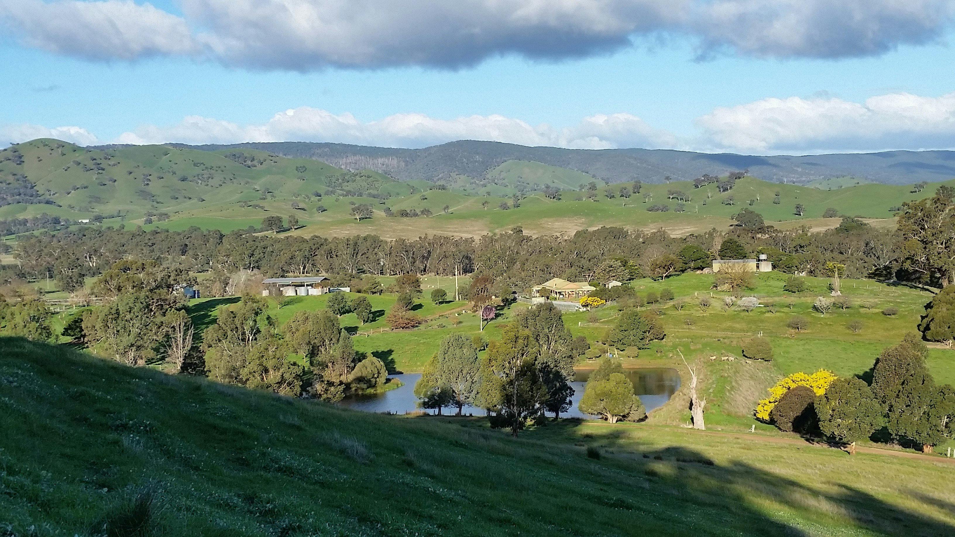 View of Cheviot Glen property backed by rolling hills of the Black Range