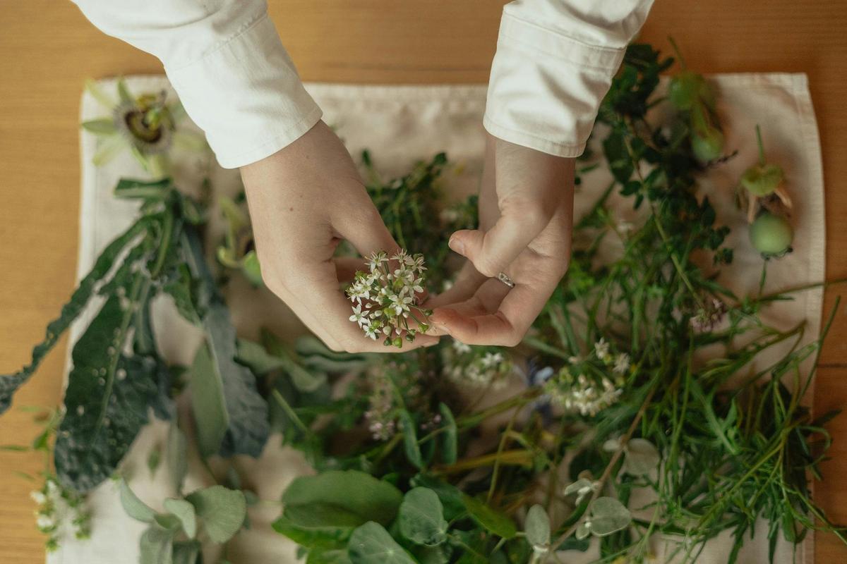 Herbs