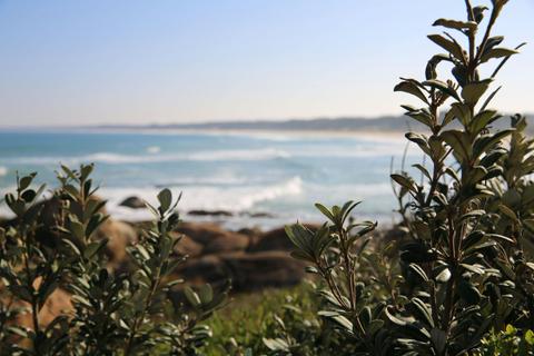 Cape Conran Coastal Park