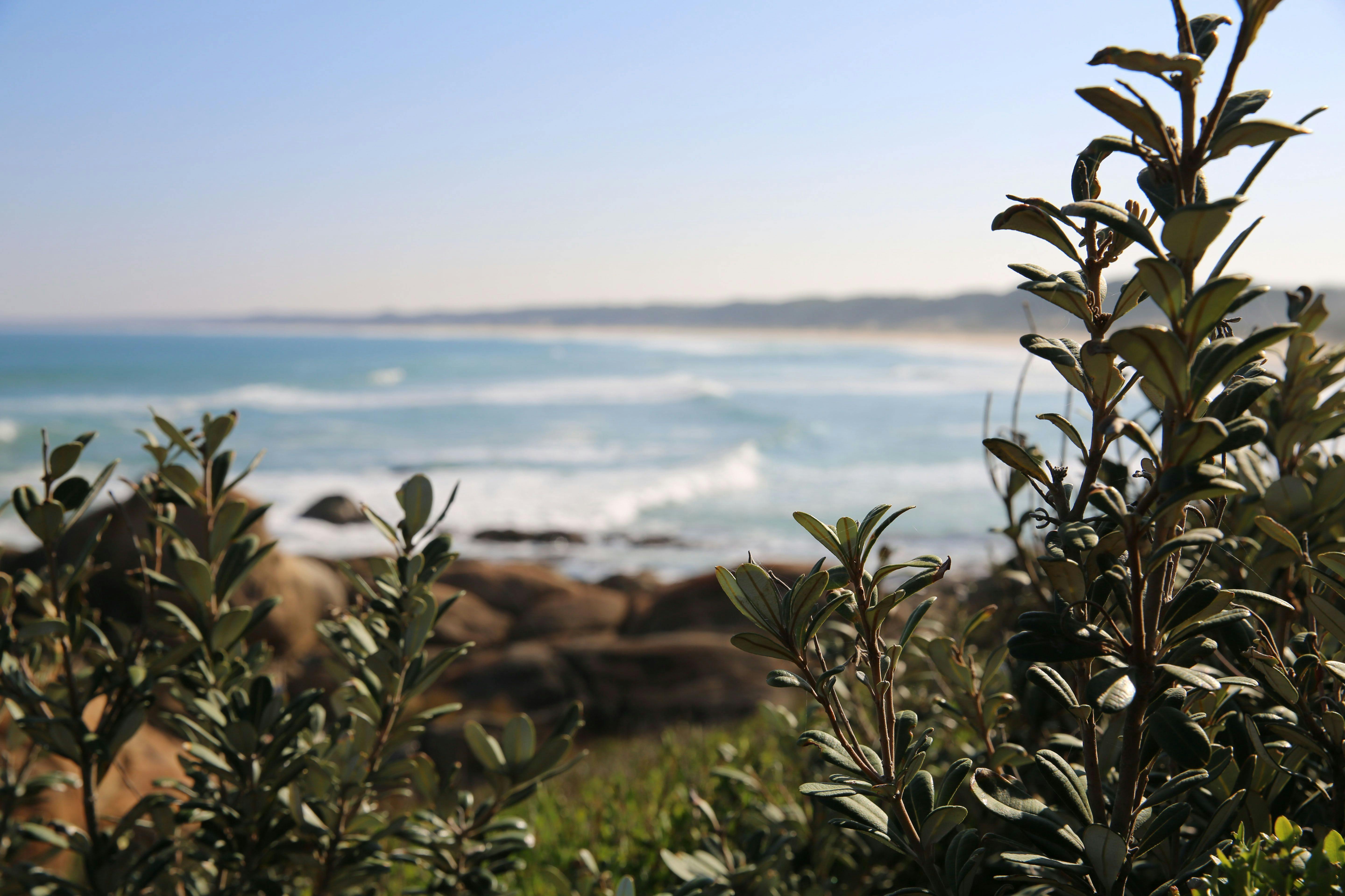 Cape Conran Coastal Park