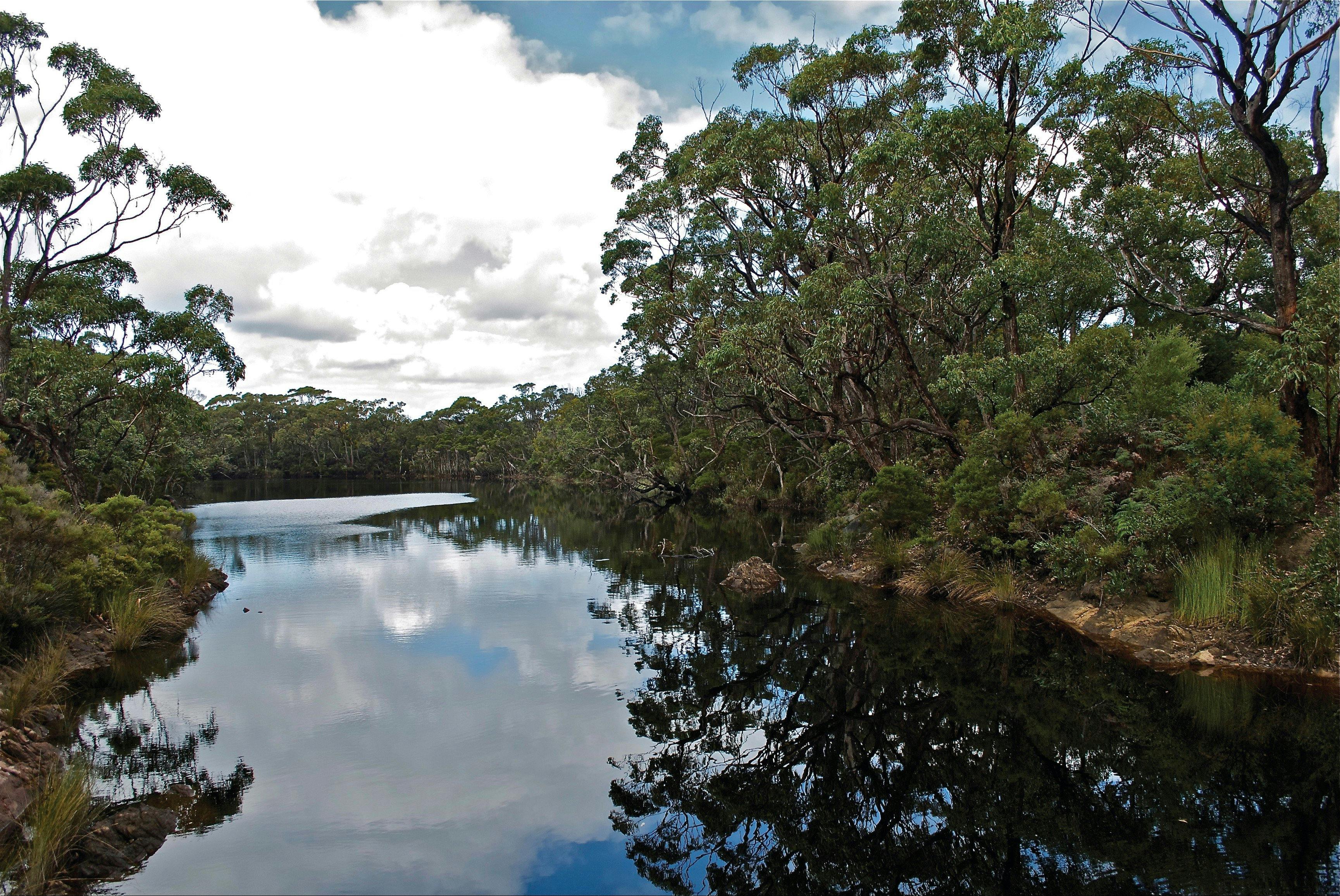 Cape Conran Coastal Park