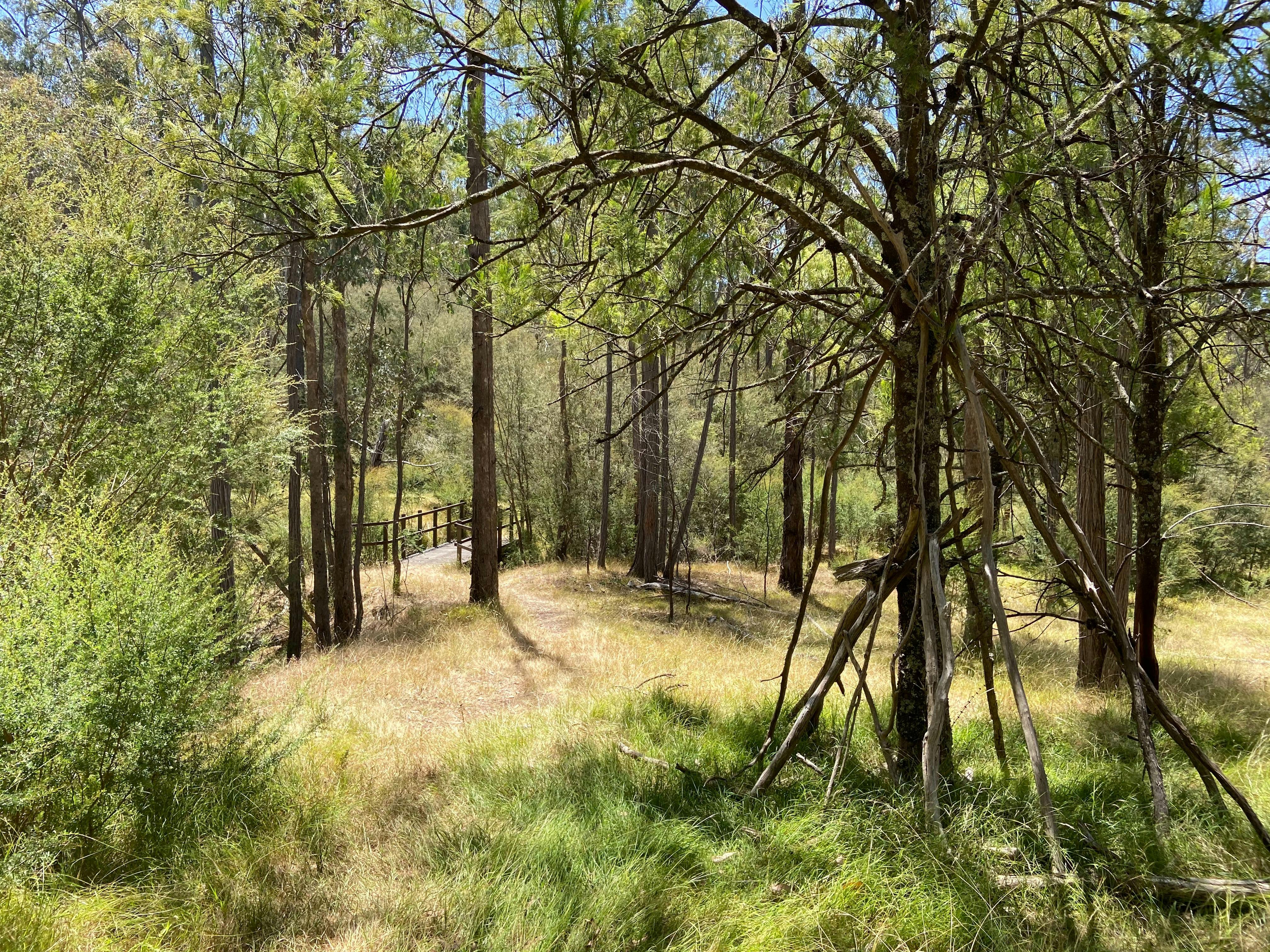 Candlebark Gully Nature Trail
