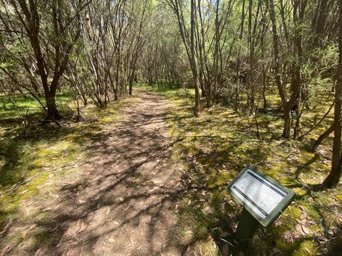Candlebark Gully Nature Trail