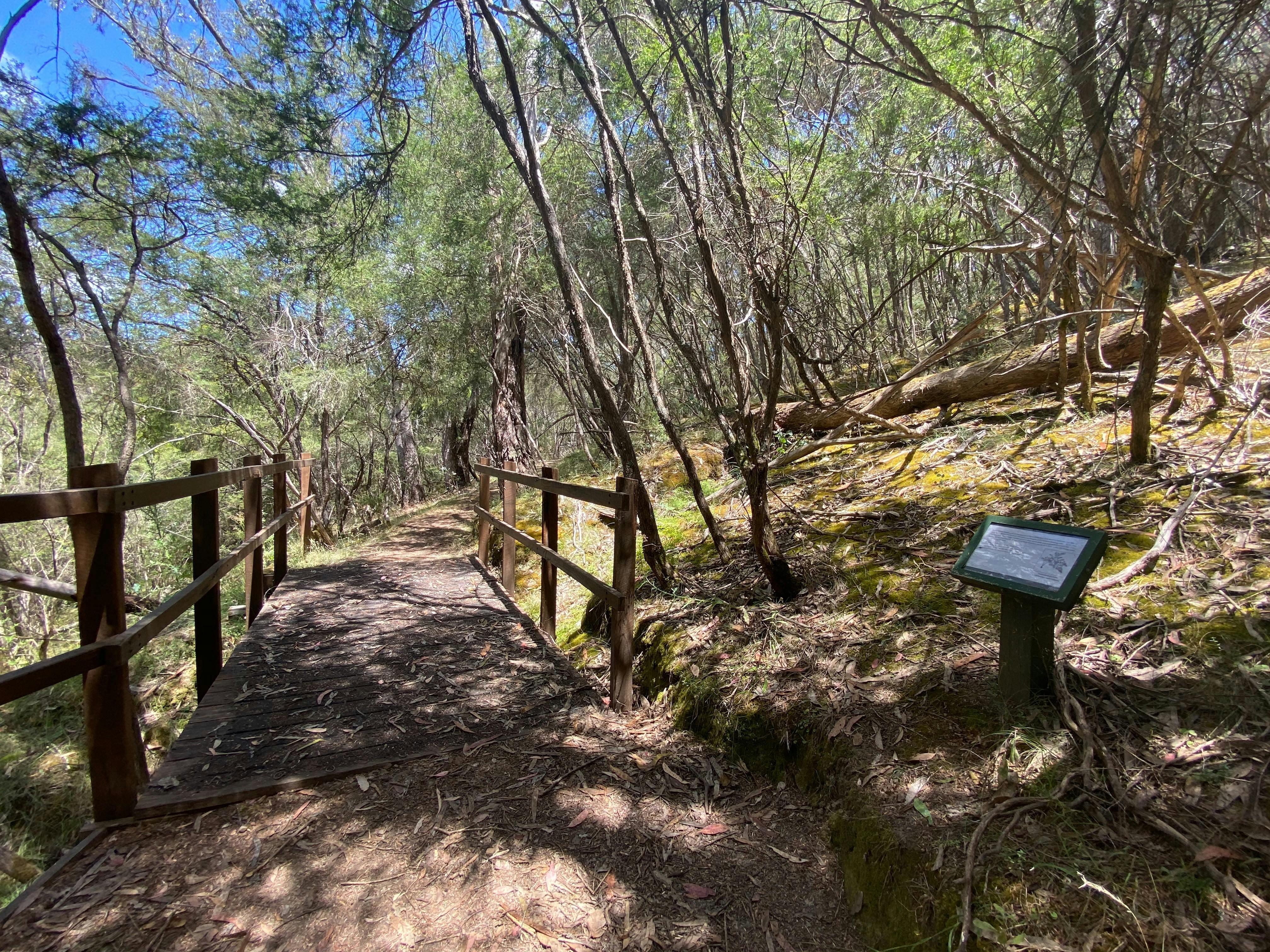 Candlebark Gully Nature Trail