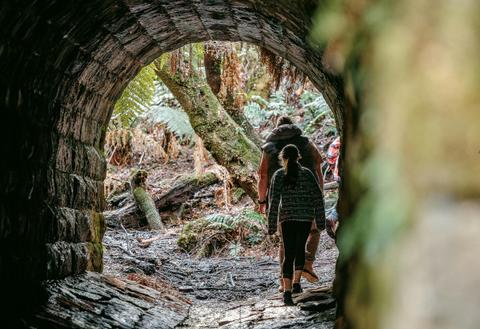 Cambarville Circuit Walk and Historic Area