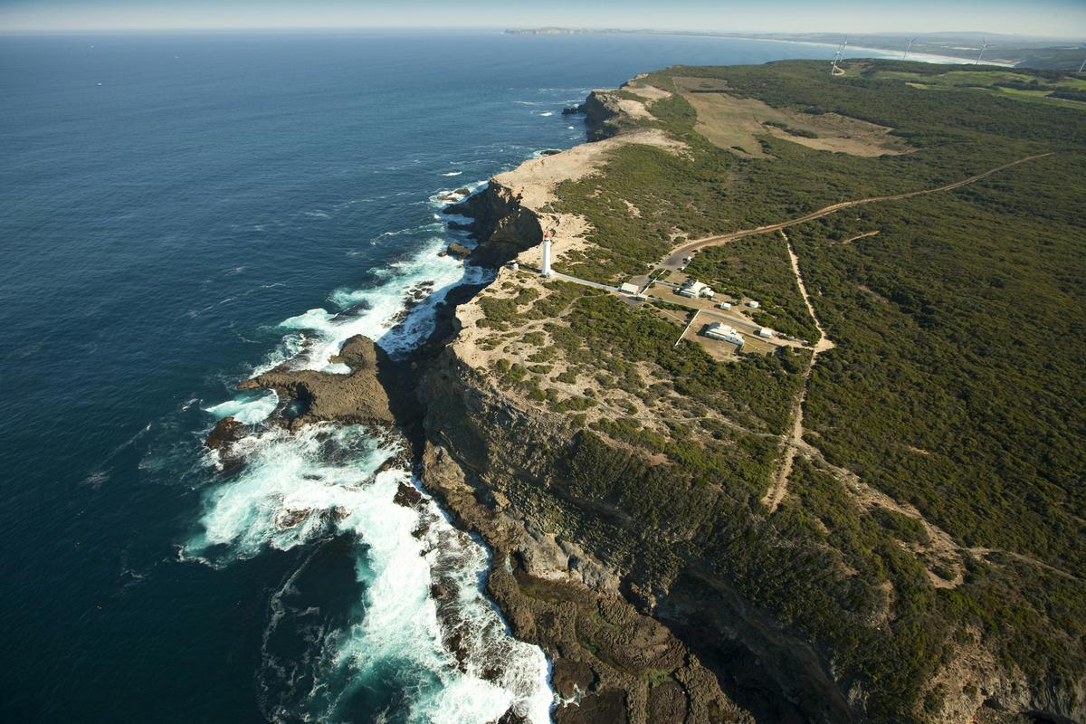 Cape Nelson State Park