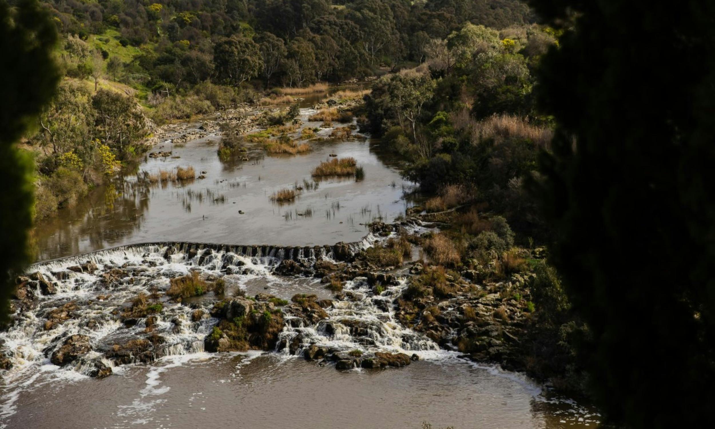 Buckley Falls flowing after rain, a raw and powerful moment just minutes from the city.