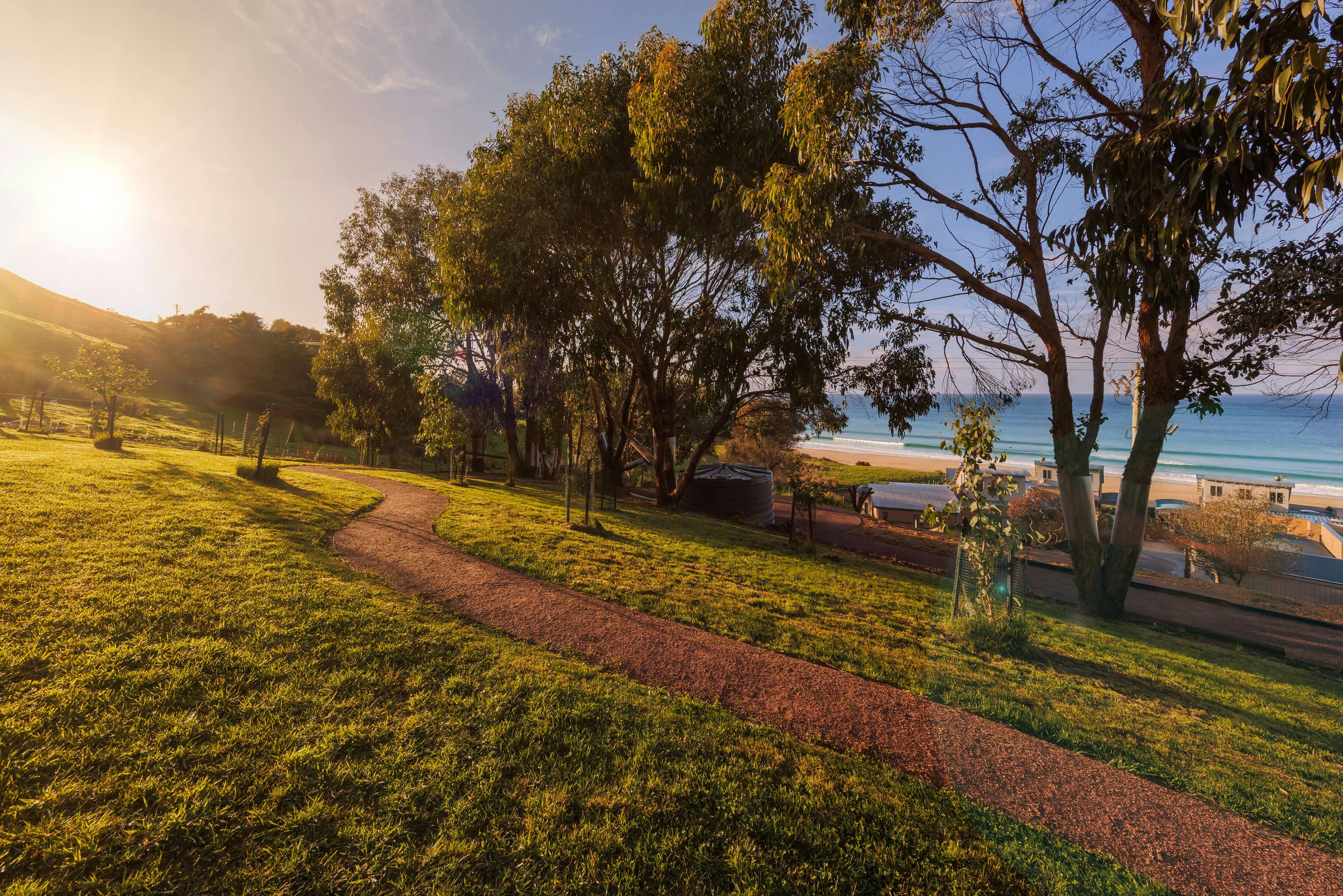 Koala Track - exclusive for Chocolate Gannets, a winding track under gumtrees, home to wild koalas.