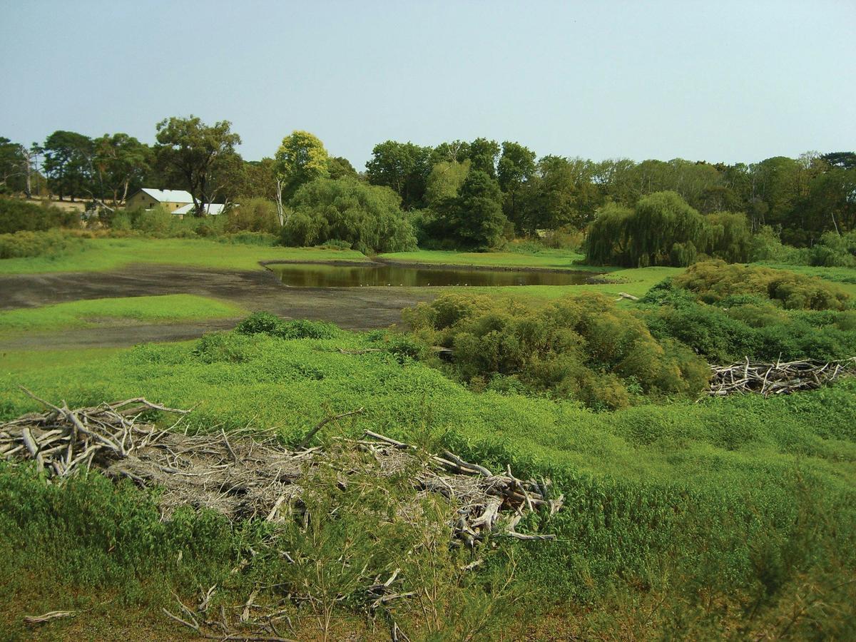 Coolart Wetlands
