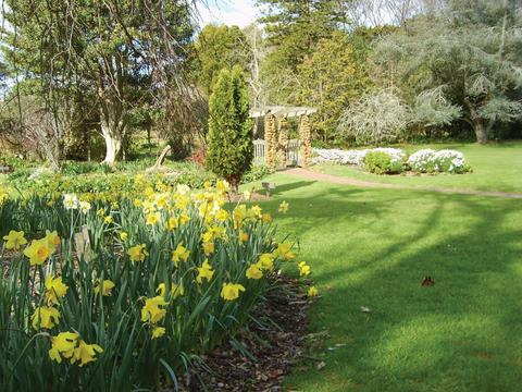 Coolart Wetlands and Homestead