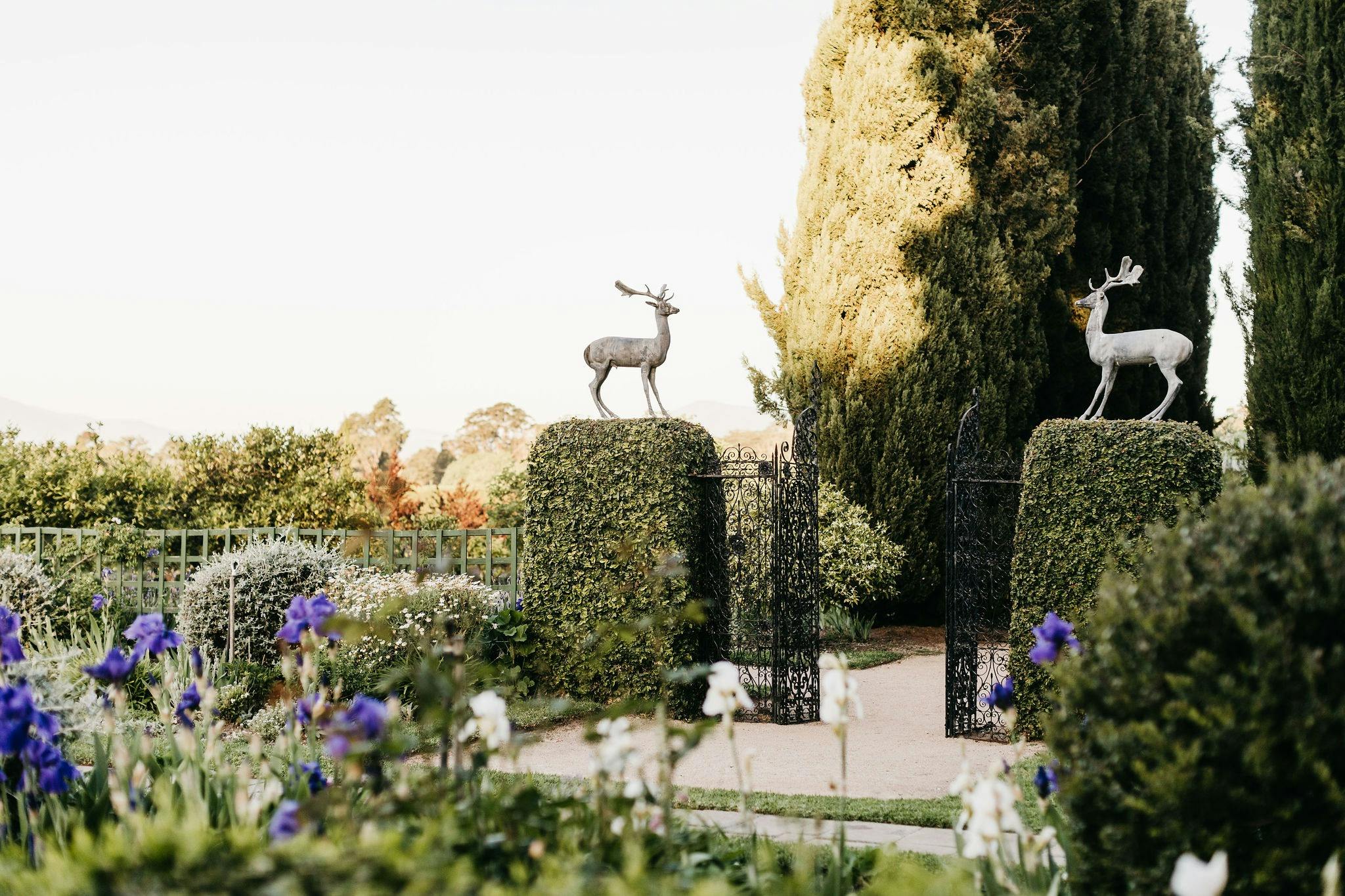 The stags leading towards the pool