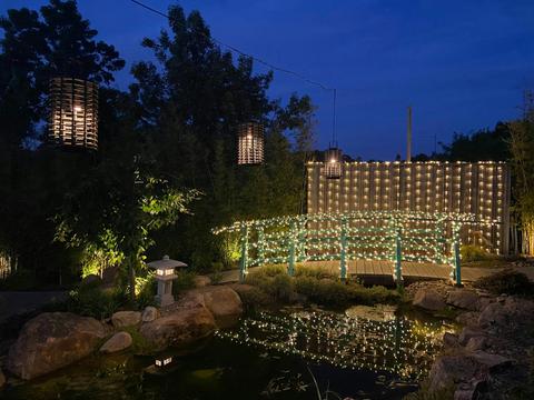 Fairylight Forest