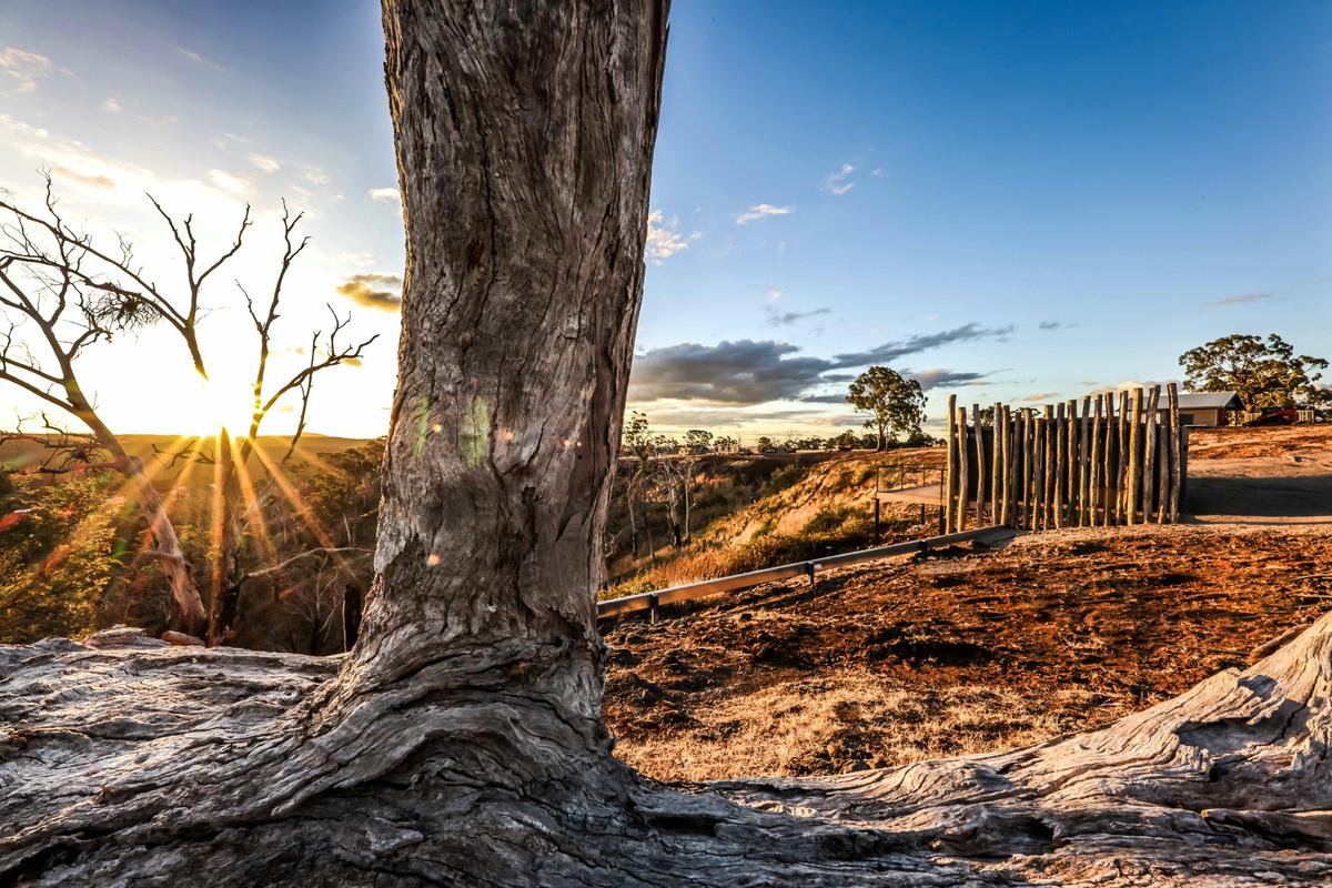Jumanji African Villa