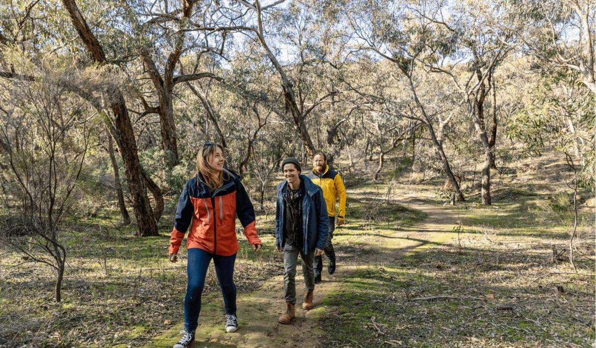 Walking Eureka Reef Castlemaine Diggings National Heritage Park