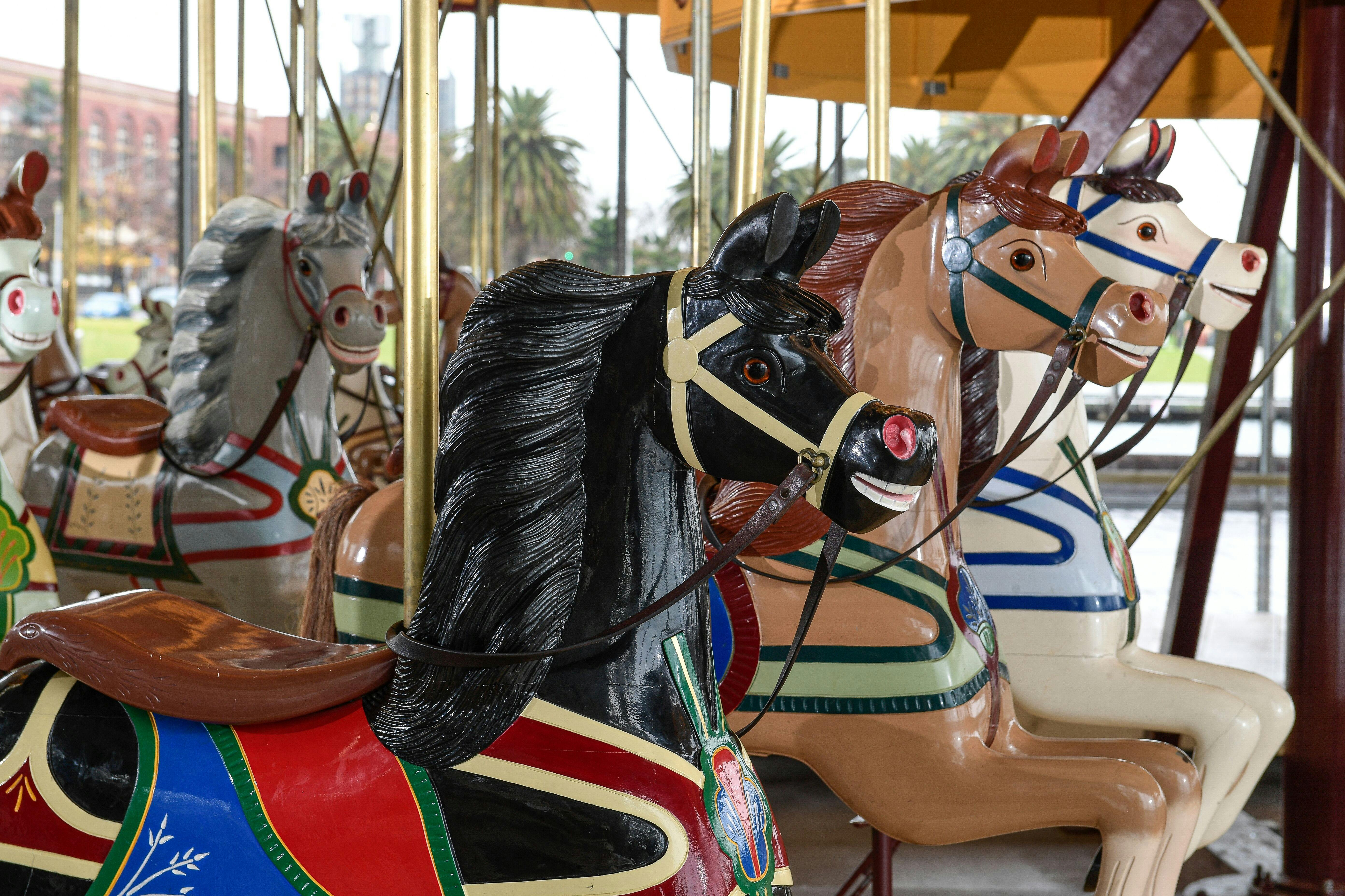 Carousel Horses