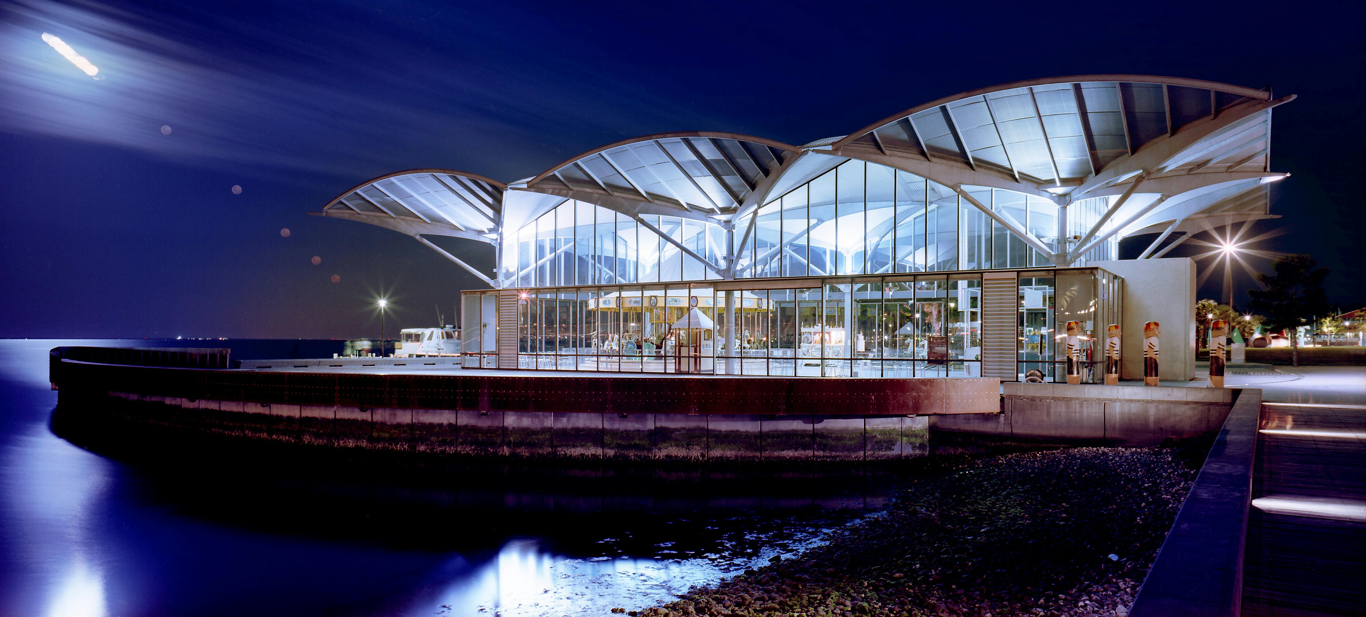 The Carousel at Night